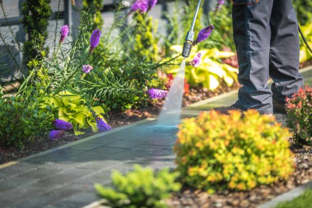 Best Spring Cleaning  in Brandywine, MD